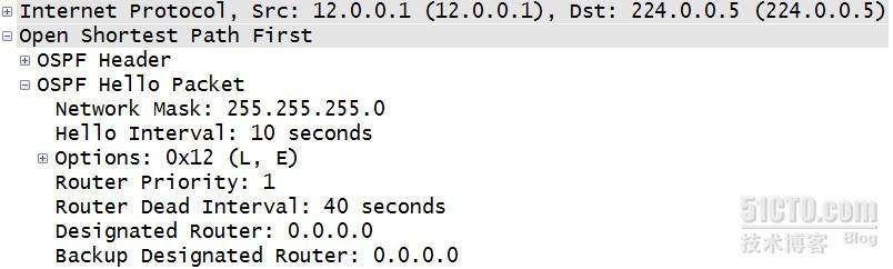 OSPF(Open Shortest Path First)开放式最短路径优先协议02_OSPF_02