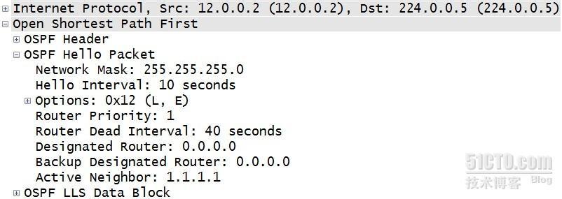 OSPF(Open Shortest Path First)开放式最短路径优先协议01_休闲_03