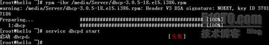 Linux DHCP服务实验报告_休闲_03