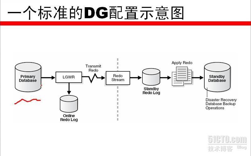 oracle data guard_职场