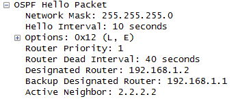 OSPF HELLO数据包_HELLO包_03