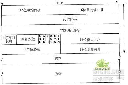 CCNA  第二章 TCP/IP简介_职场_02