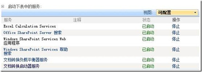 SharePoint Server 2007配置指南_休闲_03