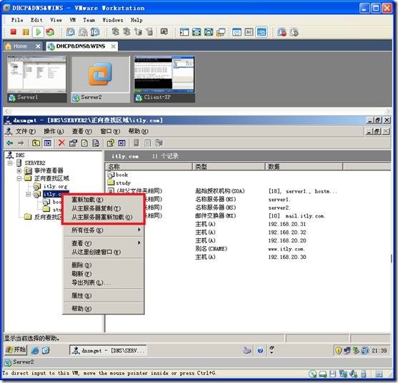 网络学习（三十五）Windows Server 2003 DNS（域名系统）_休闲_129