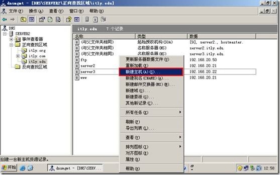 网络学习（三十五）Windows Server 2003 DNS（域名系统）_休闲_172