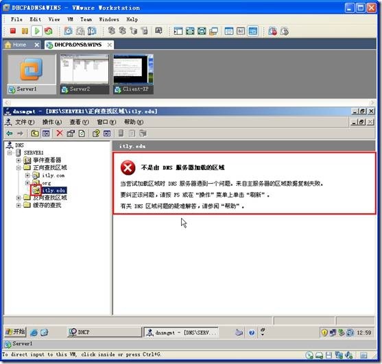 网络学习（三十五）Windows Server 2003 DNS（域名系统）_休闲_177