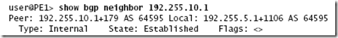 Routing Engine and Switching Control Board Redundancy Configuration_address_05