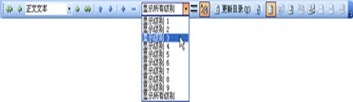 Word 2003 长篇文档技巧_Word_12