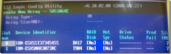 IBM 配置LSI集成阵列（CTRL+C）_blank_04