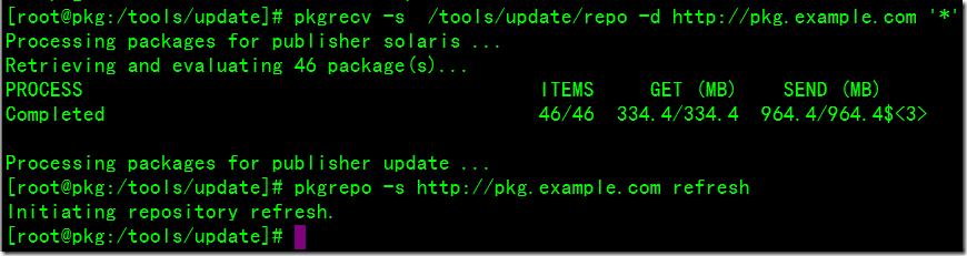 How To Update Local IPS Package Repository_only_05