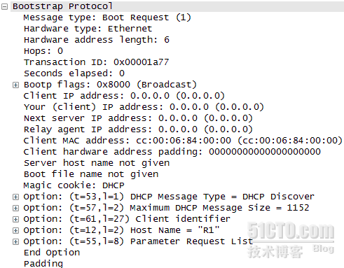 DHCP里面的报文_dhcp 包_02