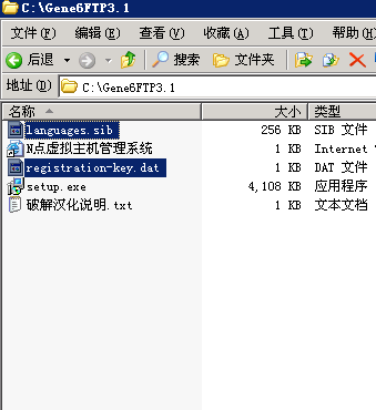 Gene6_FTP_Server_安装过程_休闲_09