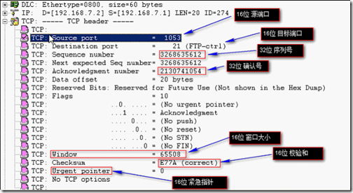 分析数据包tcp头结构_职场_03