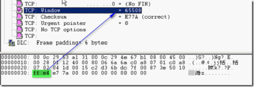 分析数据包tcp头结构_分析数据包tcp头结构_09