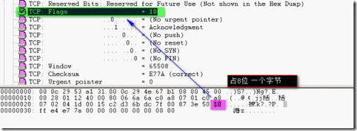 分析数据包tcp头结构_职场_16