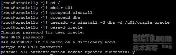 Oracle 11g R2在CentOS 5.5服务器上的安装（上）_Oracle_08