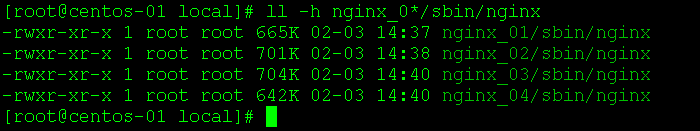 nginx编译及参数详解_nginx参数详解