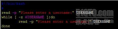 shell脚本的编写_bash_03