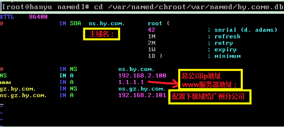 DNS服务器--配置及介绍_职场_06