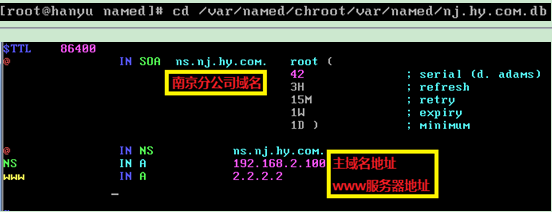 DNS服务器--配置及介绍_服务器_07