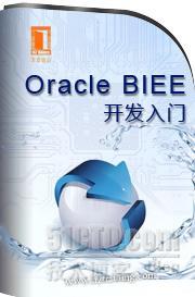 Oracle BIEE开发入门（更新完毕）_oracle