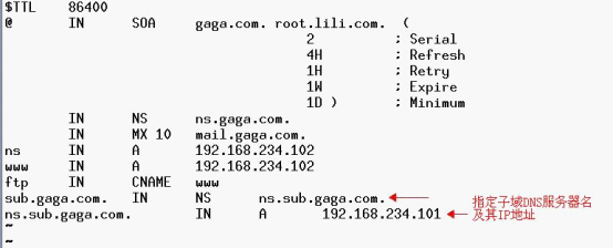 linux DNS子域委派在企业中的应用_职场_02