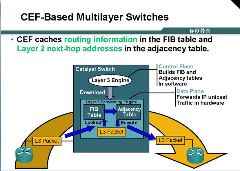 思科 CEF 解读_CEF_02
