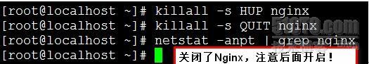 使用Nginx从零开始搭建基于LNMP架构的电影系统之一_Linux运维_linux系统_13