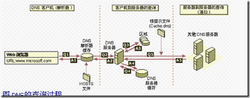 DNS服务器在企业网中的应用_Internet