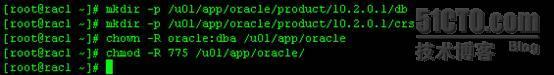 RHEL5安装Oracle10gRAC on VMware Server1.0之一_Oracle19gRAC on VMwa_51