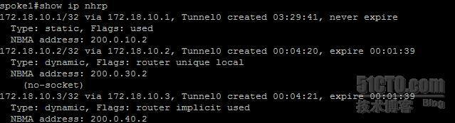 【网络系列七】Dynamic Multipoint Vpn + NAT--Center与Spoke之间动态隧道数据流浅析_Spoke_12