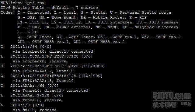 【网络系列八】Dynamic Multipoint Vpn for IPv6 详解_dmvpn_11