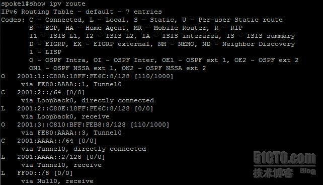 【网络系列八】Dynamic Multipoint Vpn for IPv6 详解_动态_12