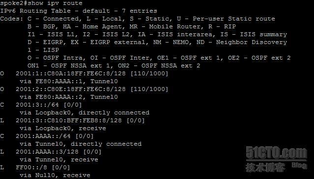 【网络系列八】Dynamic Multipoint Vpn for IPv6 详解_动态_13