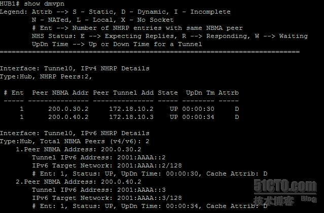 【网络系列八】Dynamic Multipoint Vpn for IPv6 详解_dmvpn_14