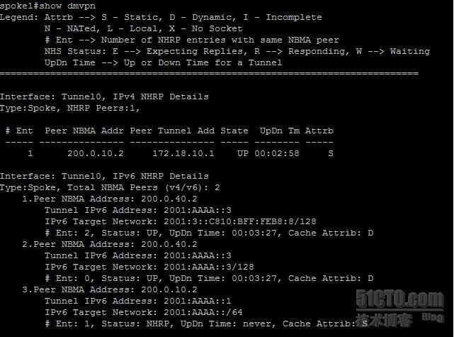 【网络系列八】Dynamic Multipoint Vpn for IPv6 详解_nhrp_15