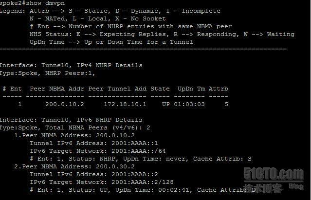 【网络系列八】Dynamic Multipoint Vpn for IPv6 详解_动态_16