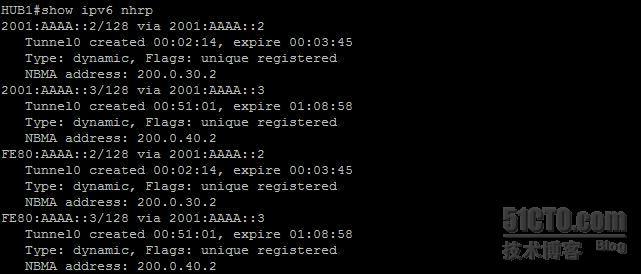 【网络系列八】Dynamic Multipoint Vpn for IPv6 详解_nhrp_17