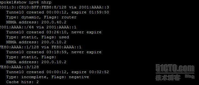 【网络系列八】Dynamic Multipoint Vpn for IPv6 详解_ipv6_18