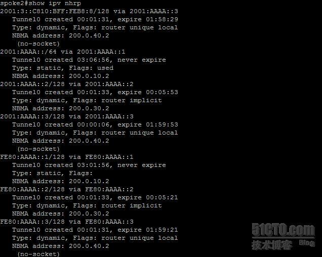 【网络系列八】Dynamic Multipoint Vpn for IPv6 详解_ipv6_19