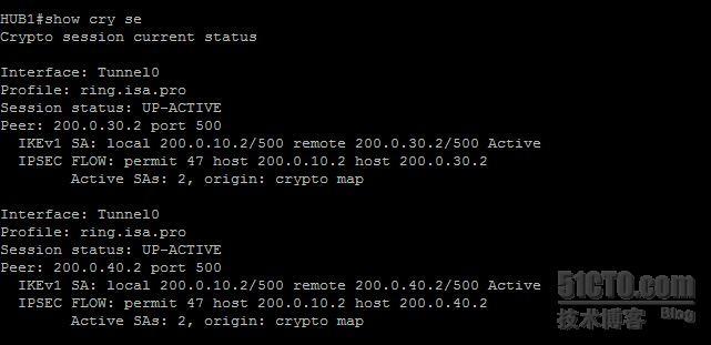 【网络系列八】Dynamic Multipoint Vpn for IPv6 详解_nhrp_20