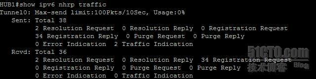 【网络系列八】Dynamic Multipoint Vpn for IPv6 详解_ipv6_21