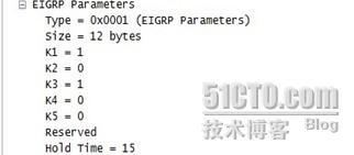 TCP/IP 6.3 EIGRP 的数据包格式_EIGRP 的数据包格式_03