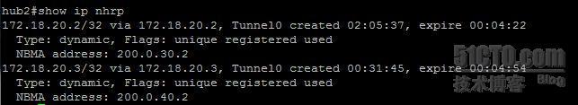 【网络系列六】cisco“双center单云”和“双center双云”冗余设计Dmvpn实例对比浅析_mgre_45