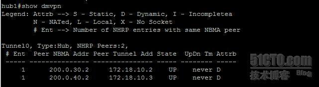 【网络系列七】Dynamic Multipoint Vpn + NAT--Center与Spoke之间动态隧道数据流浅析_nat_14