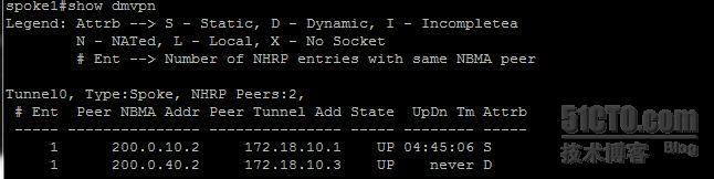 【网络系列七】Dynamic Multipoint Vpn + NAT--Center与Spoke之间动态隧道数据流浅析_dmvpn_15