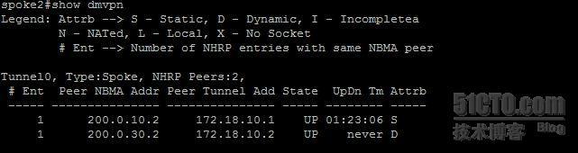 【网络系列七】Dynamic Multipoint Vpn + NAT--Center与Spoke之间动态隧道数据流浅析_nat_16