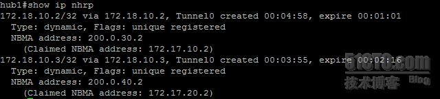 【网络系列七】Dynamic Multipoint Vpn + NAT--Center与Spoke之间动态隧道数据流浅析_Spoke_21