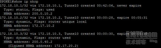 【网络系列七】Dynamic Multipoint Vpn + NAT--Center与Spoke之间动态隧道数据流浅析_dmvpn_25