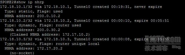 【网络系列七】Dynamic Multipoint Vpn + NAT--Center与Spoke之间动态隧道数据流浅析_dmvpn_26